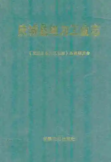 《庆城县电力工业志(1950-2007)》封面