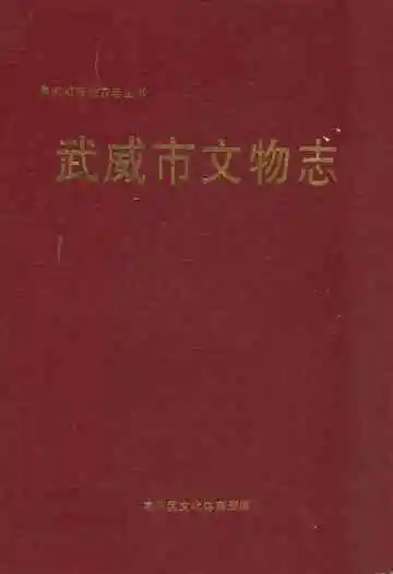 《武威市文物志》