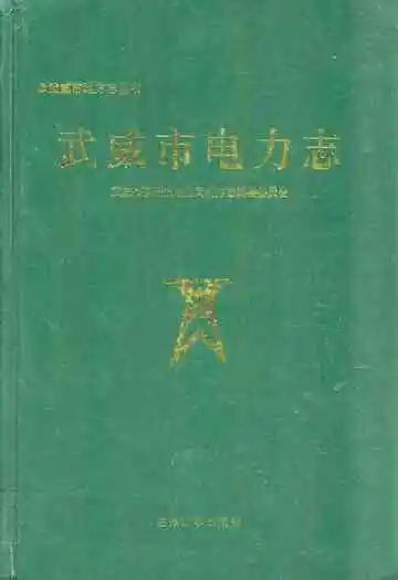 《武威市电力志》封面