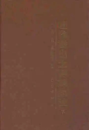 吐鲁番出土砖志集注(下)