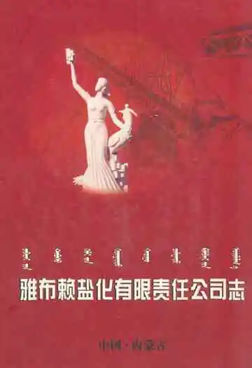 雅布赖盐化有限责任公司志