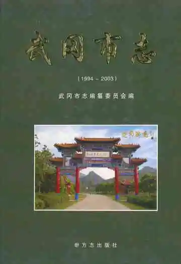 武冈市志(1994~2003)