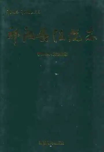 《祁阳县法院志》