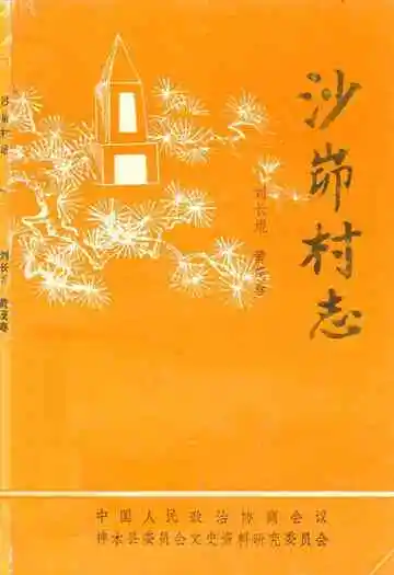 沙峁村志