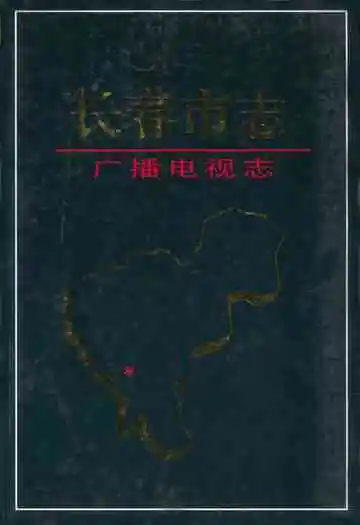 铁路运输分公司志(1989-2000)