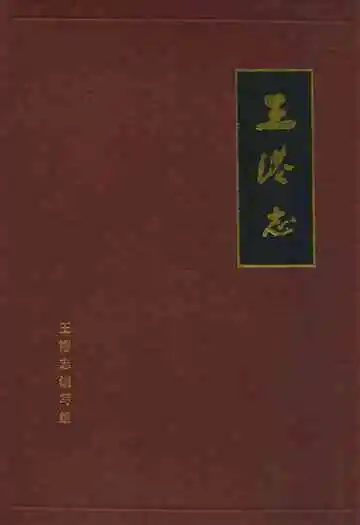 王港志