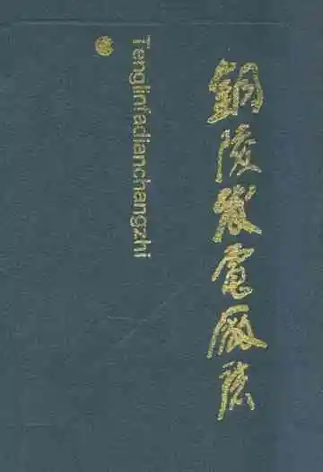 铜陵发电厂志