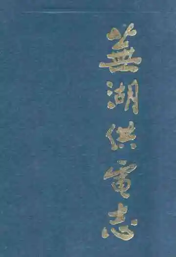 芜湖供电志