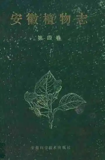 安徽植物志第四卷