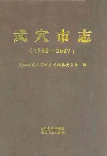 武穴市志(1988-2007)