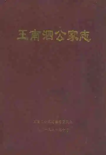 王南泗公家志