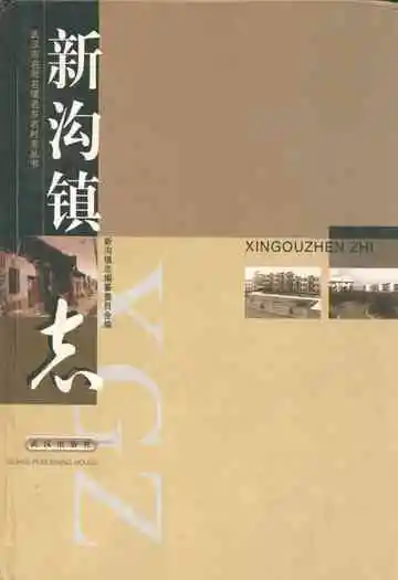 新沟镇志