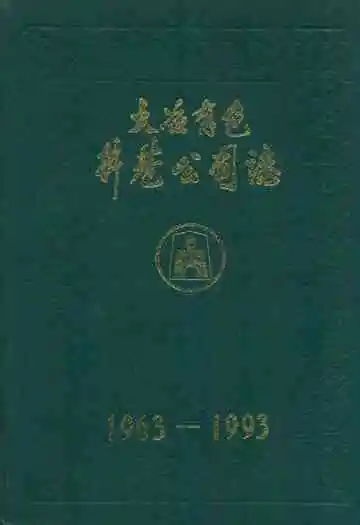 大冶有色井巷公司志(1963-1993)