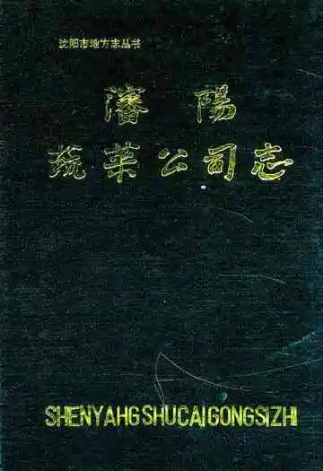沈阳蔬菜公司志