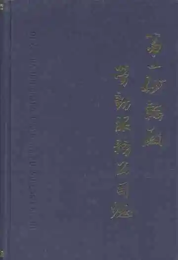 第一砂轮厂劳动服务公司志