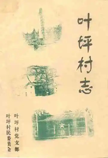 叶坪村志