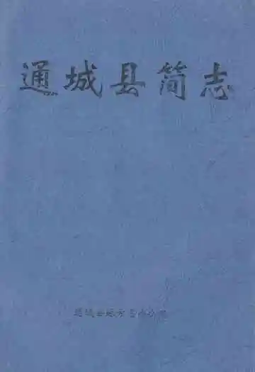 通城县简志