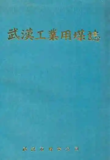 武汉工业用煤志