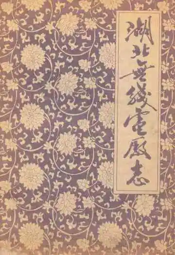 《湖北无线电厂志》