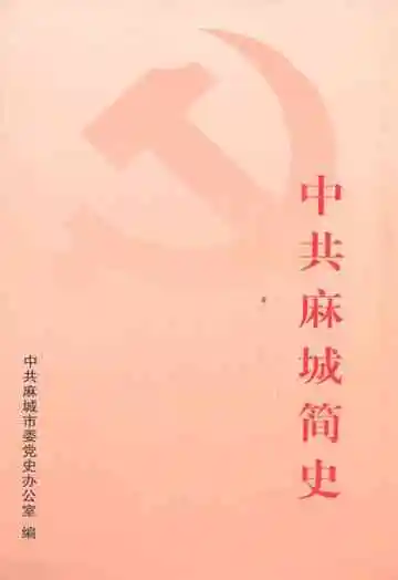 中共麻城简史