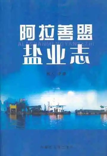 《《阿拉善盟盐业志》》封面