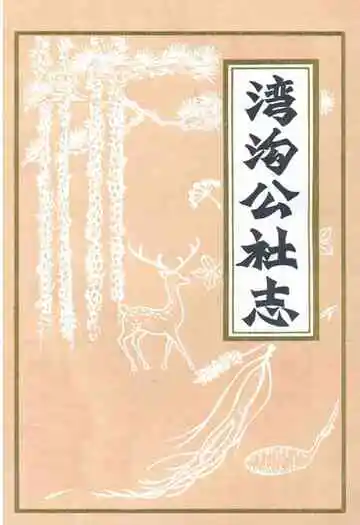 湾沟公社志