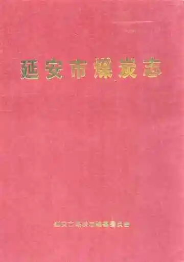 延安市煤炭志