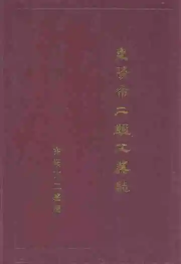 东阳市二轻工业志