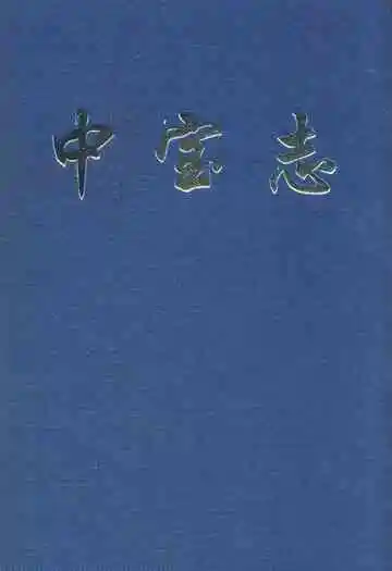 中宝志1982年-1998年