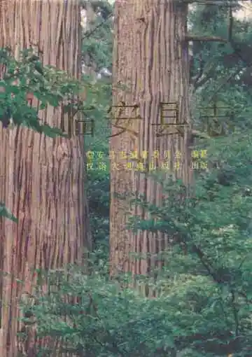 《临安县志》
