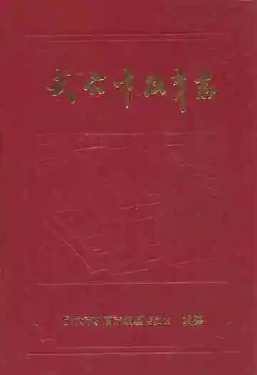 武穴市教育志