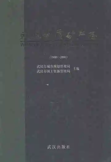 武汉地质矿产志(1980-2000)