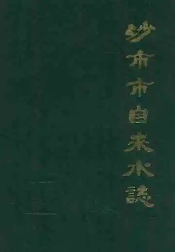 沙市市自来水志