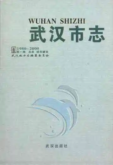 武汉市志第一卷总类城市建设(1980-2000)