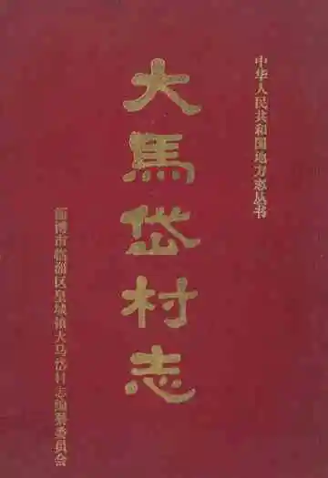 大马岱村志