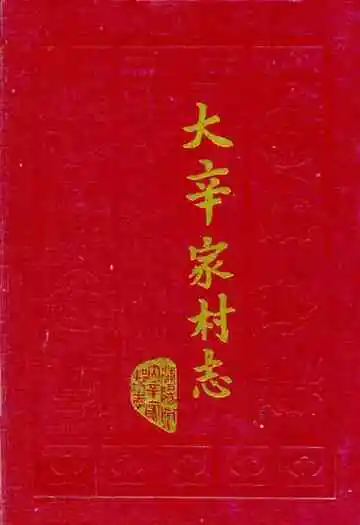 大辛家村志