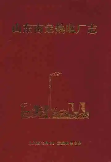 山东南定热电厂志