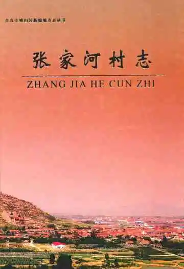 张家河村志