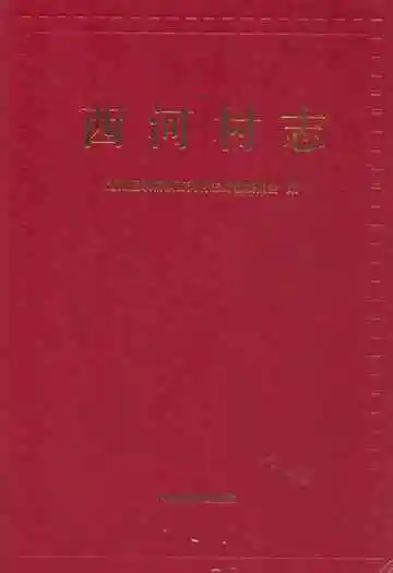 西河村志
