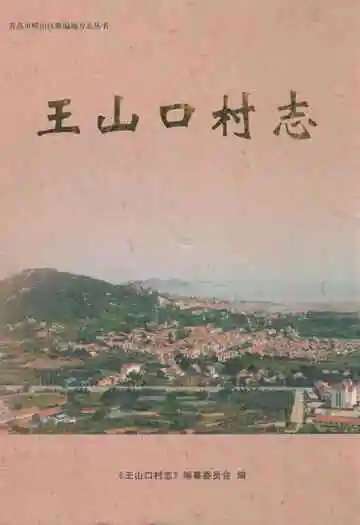 王山口村志
