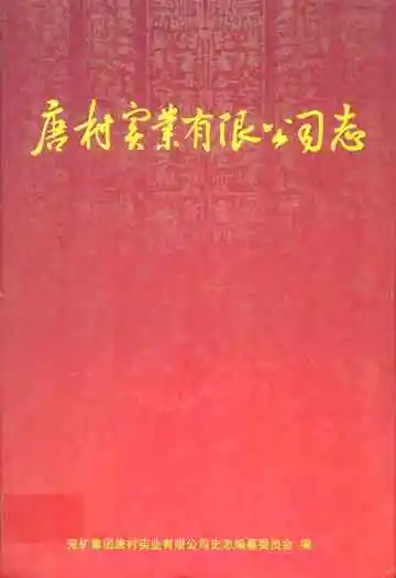 唐村实业有限公司志