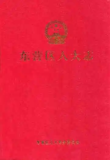 东营区人大志