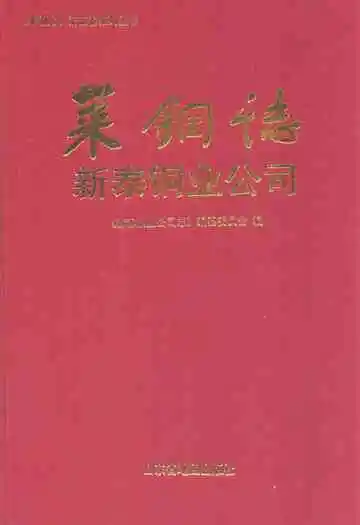 莱钢志新泰铜业公司(1986-2006)