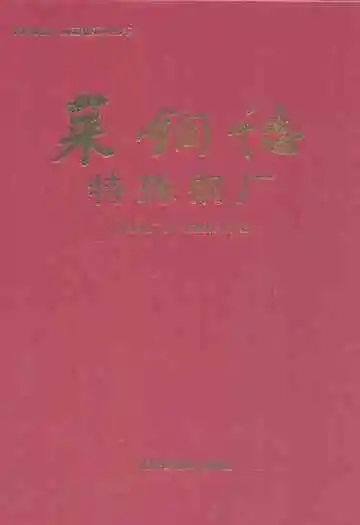 莱钢志特殊钢厂2001~2005