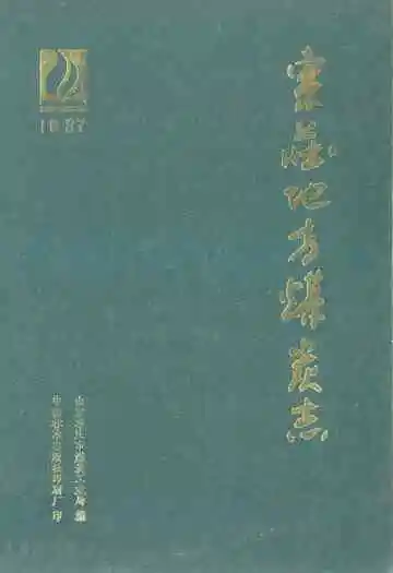 枣庄地方煤炭志