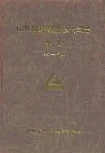 山东聊建集团总公司志(续编)1991-2000
