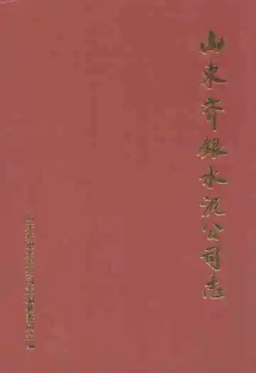 山东齐银水泥公司志