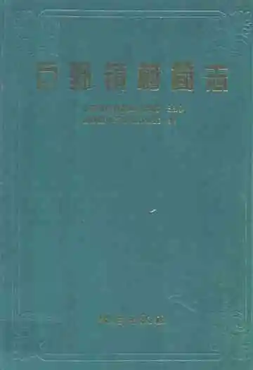 巨野镇简志