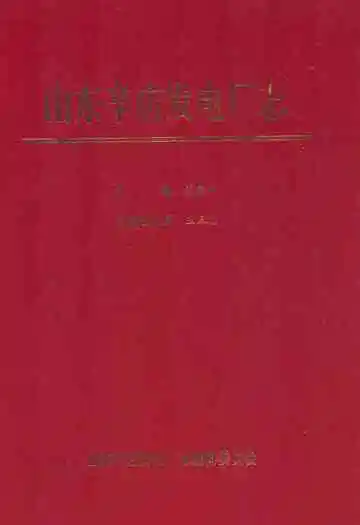 山东辛店发电厂志