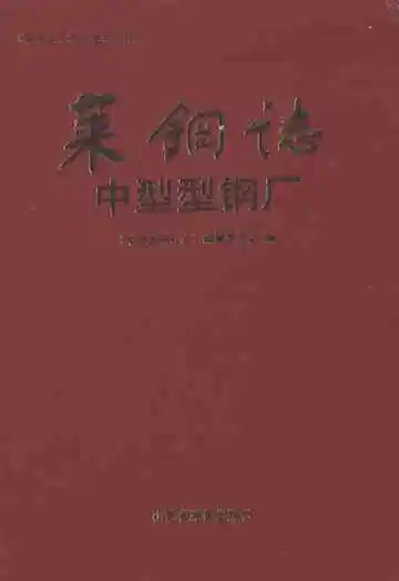 莱钢志中型型钢厂(2001~2005)